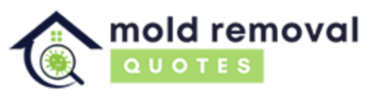 Fleming Island Mold Solutions